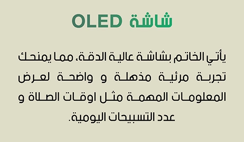 خاتم التمجيد الفاخر Ring of Praise 💍 - الصورة 4