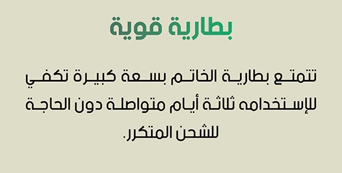 خاتم التمجيد الفاخر Ring of Praise 💍 - الصورة 12